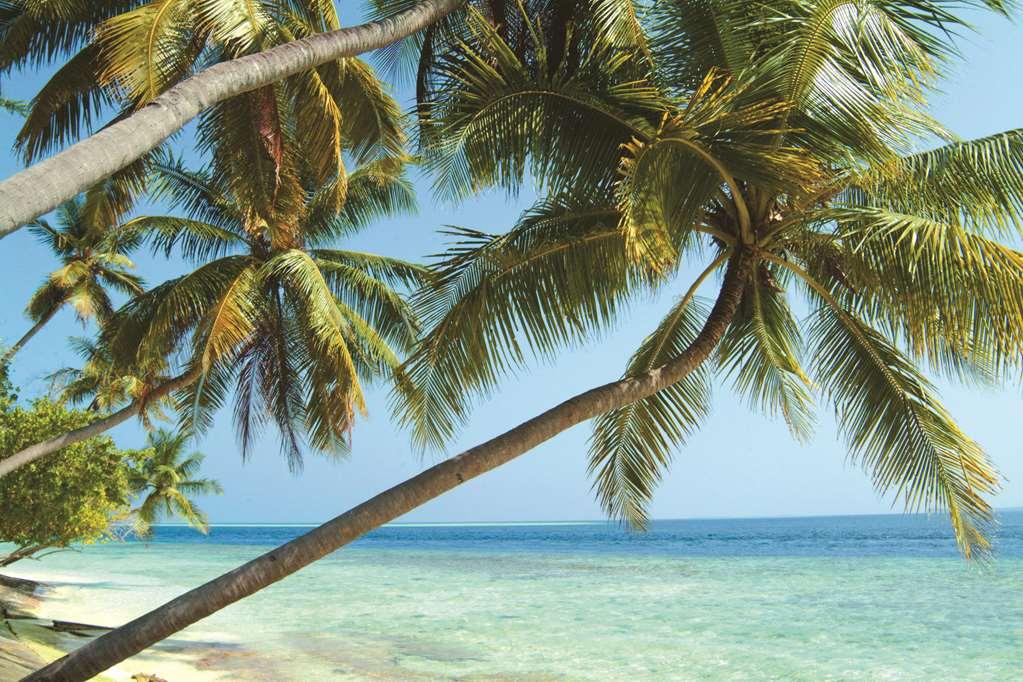 Biyadhoo Island Resort Exterior foto